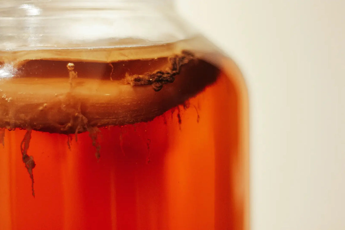 Does kombucha have alcohol?